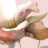 Lenzuola Matrimoniale Blumarine Fleurette