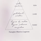 Diffusore Fazzini 250ml - Indian Wood