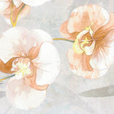 Lenzuola Matrimoniale Blumarine Orchidea