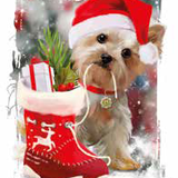 Plaid Singolo 130x160 Linea Oro Natale