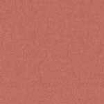 Andra Pigiama Serafino Donna C.Cotone 10035 - Biancheria da sogno Pedata