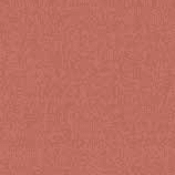 Andra Pigiama Serafino Donna C.Cotone 10035 - Biancheria da sogno Pedata