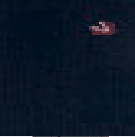 Calza Lunga in Caldo Cotone Uomo Perofil Coccinelle - Biancheria da sogno Pedata