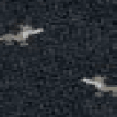 Calza Lunga in Caldo Cotone Uomo Perofil Lupo - Biancheria da sogno Pedata