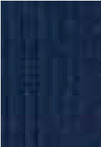 Calza Lunga in Cotone da Uomo Perofil VPRC93144 - Biancheria da sogno Pedata