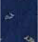 Calza Lunga in Cotone da Uomo Perofil VPRC93310 - Biancheria da sogno Pedata