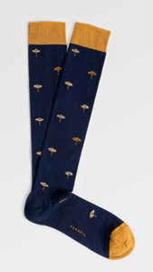 Calza Lunga in Cotone da Uomo Perofil VPRC93315 - Biancheria da sogno Pedata