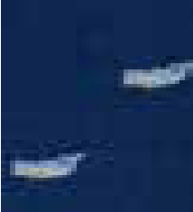 Calza Lunga in Cotone da Uomo Perofil VPRC93316 - Biancheria da sogno Pedata