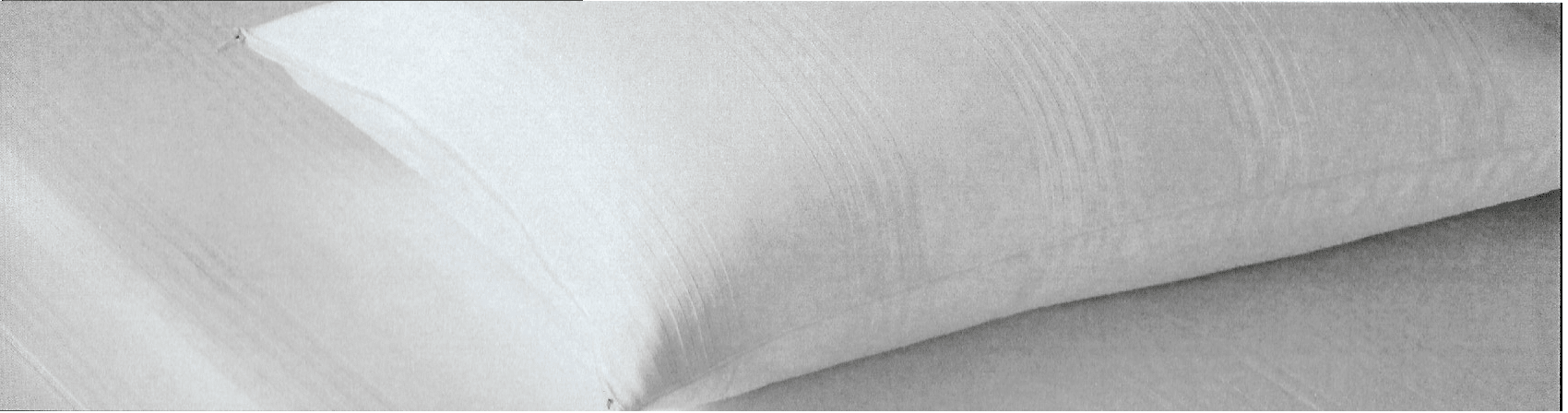 Coppia Copriguanciale Fazzini Enne 50x80 - Biancheria da sogno Pedata
