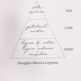 Diffusore Fazzini 250ml - Indian Wood - Biancheria da sogno Pedata