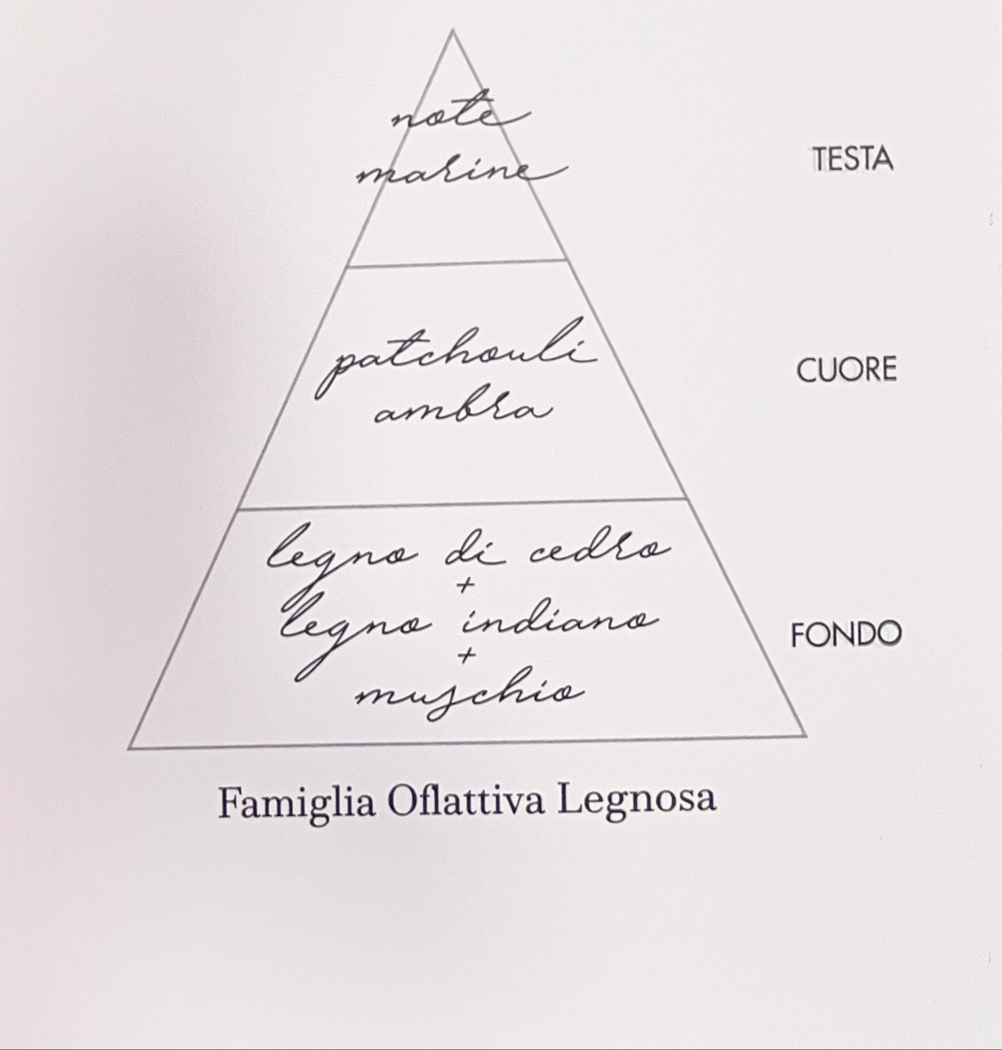 Diffusore Fazzini 250ml - Indian Wood - Biancheria da sogno Pedata