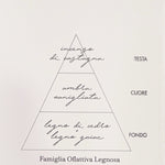 Diffusore Fazzini 250ml - Log on Fire - Biancheria da sogno Pedata