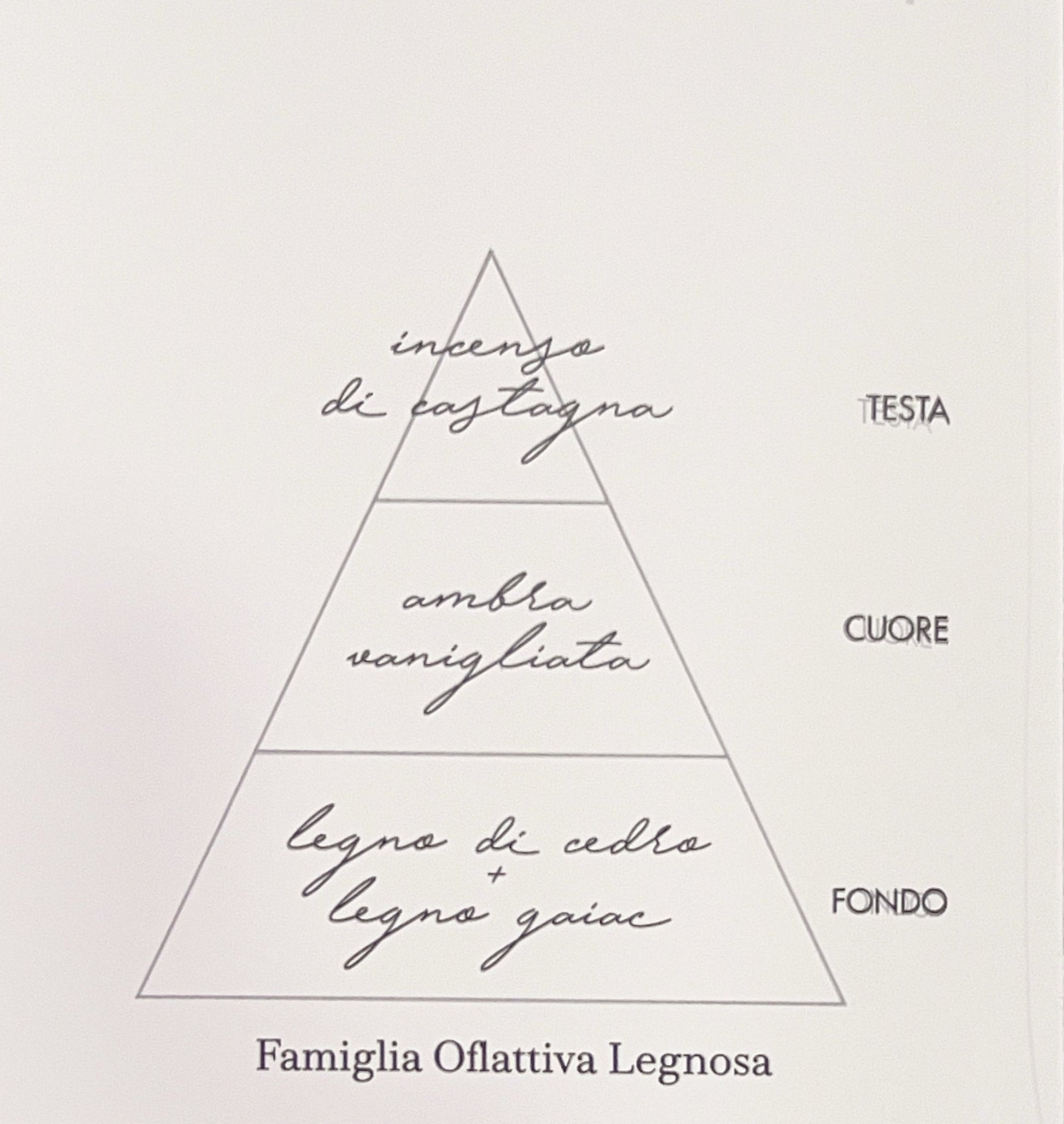 Diffusore Fazzini 250ml - Log on Fire - Biancheria da sogno Pedata