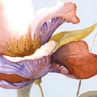 Lenzuola Matrimoniale Blumarine Fleurette - Biancheria da sogno Pedata