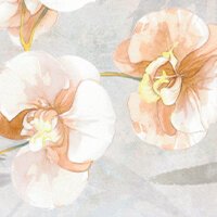 Lenzuola Matrimoniale Blumarine Orchidea - Biancheria da sogno Pedata