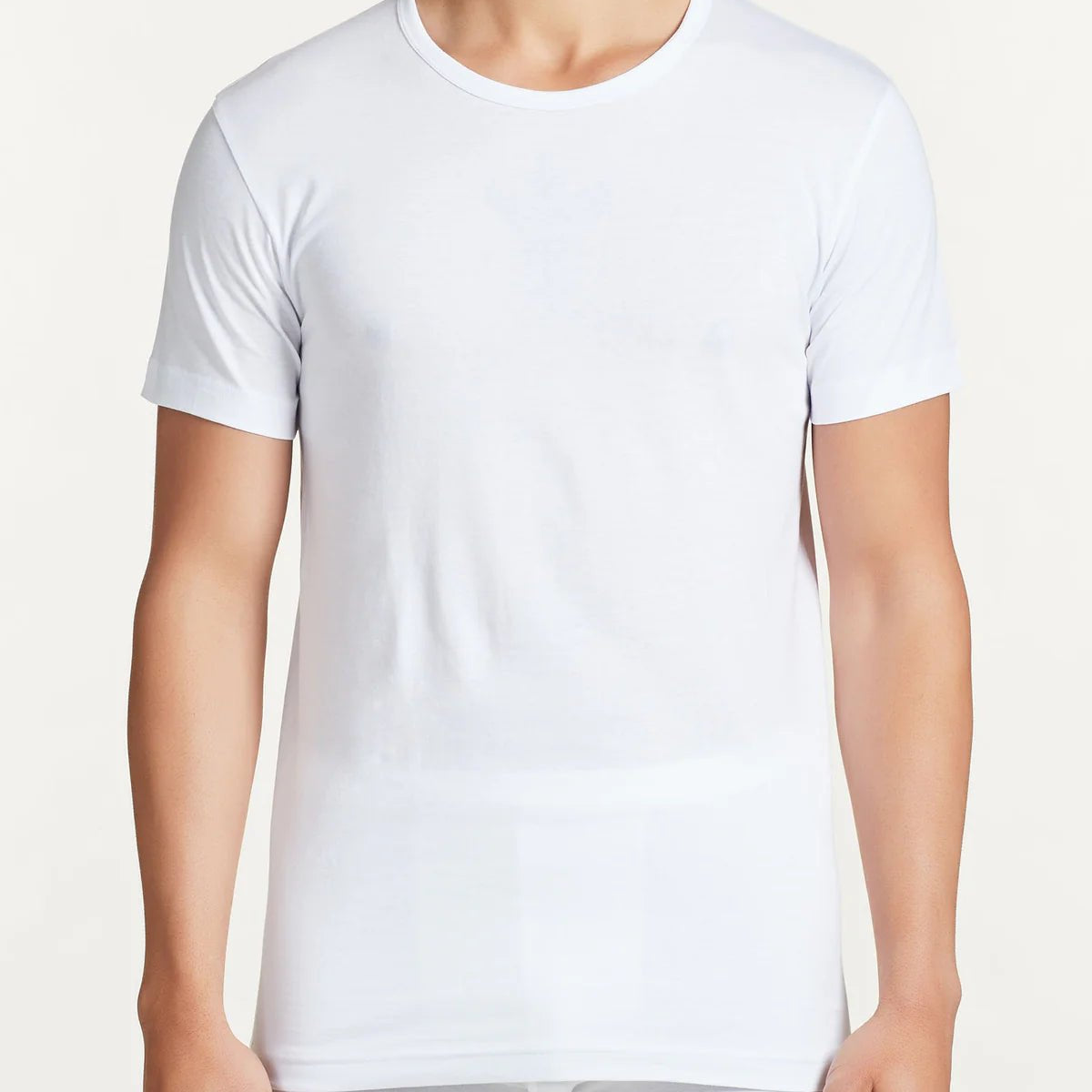 Maglia Uomo Girocollo Ragno 601417 - Biancheria da sogno Pedata