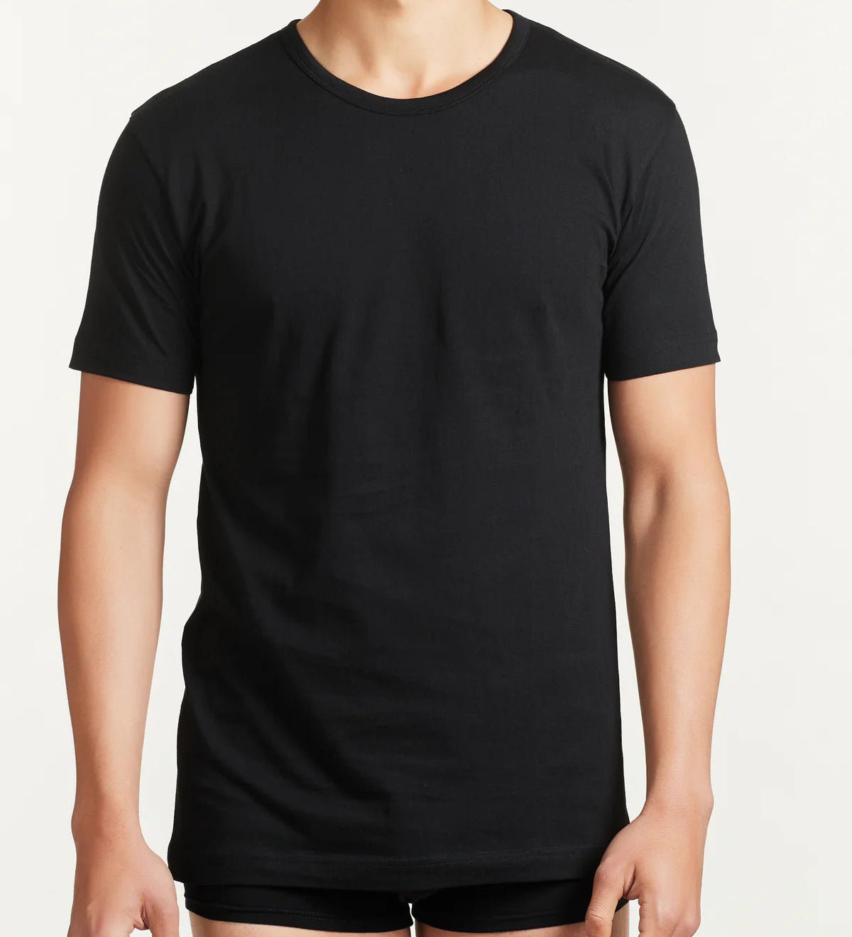 Maglia Uomo Girocollo Ragno 601417 - Biancheria da sogno Pedata