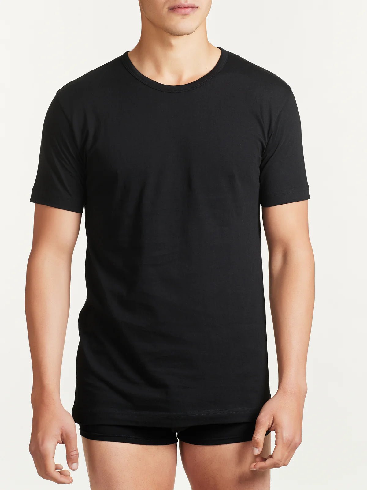 Maglia Uomo Girocollo Ragno 601417 - Biancheria da sogno Pedata