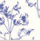 Maryhome Pigiama Donna T.Uomo C. Cotone 6P86023 - Biancheria da sogno Pedata