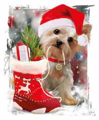 Plaid Singolo 130x160 Linea Oro Natale - Biancheria da sogno Pedata