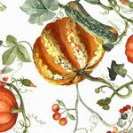 Runner 45x170 in Cotone Tessitura Toscana Telerie Kurbis - Biancheria da sogno Pedata