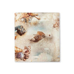 Servizio Da Tavola Maestri Cotonieri Ray Marine - Biancheria da sogno Pedata