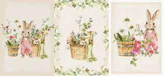 Set 3 Strofinacci in Cotone Linea Oro Pasquale - Biancheria da sogno Pedata