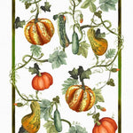 Strofinaccio In Lino Tessitura Toscana Telerie Kurbis - Biancheria da sogno Pedata