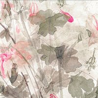 Trapunta Matrimoniale Blumarine Ciclamino - Biancheria da sogno Pedata