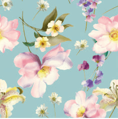 Trapuntino Microfibra Double - Face Linea Oro Ander - Biancheria da sogno Pedata